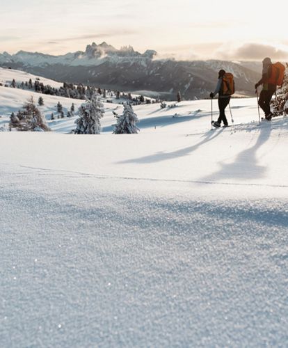 Two hikers in winter