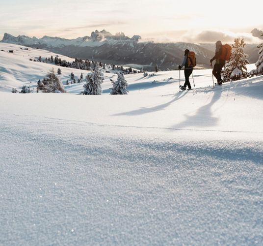 Two hikers in winter