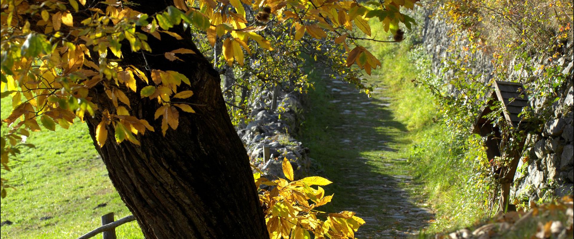 Der Keschtnweg im Herbst