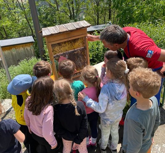 At the beekeeper's
