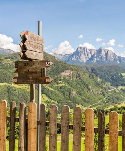 Hiking paths in summer