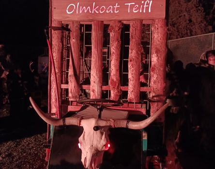 Olmkoat Teifl