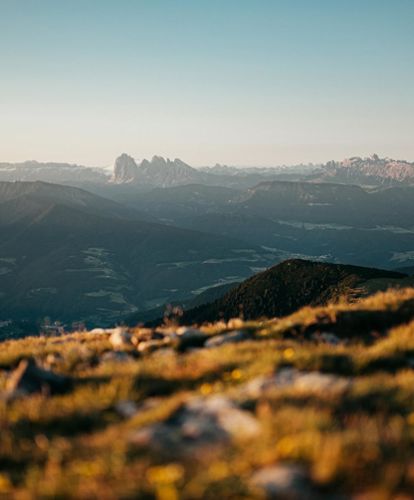 Sommerpanorama