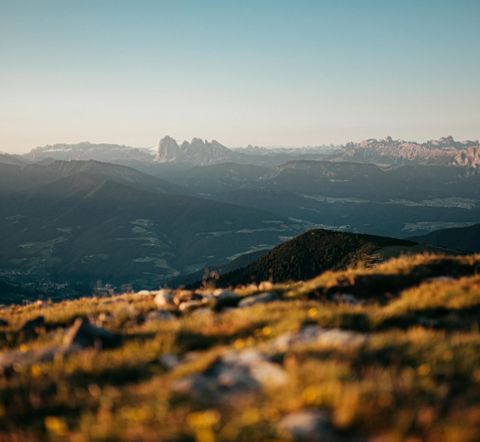 Sommerpanorama