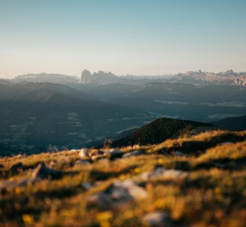 Sommerpanorama