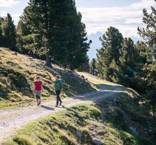 Zwei Personen auf einer Wanderung