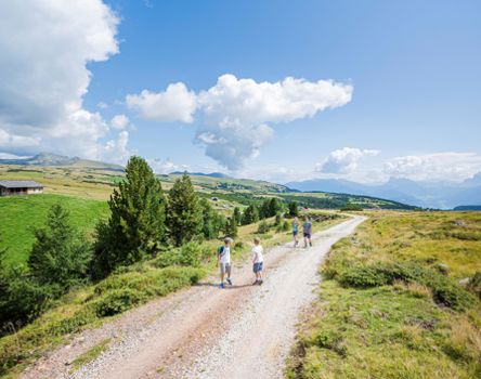 klausen-villanderer-alm_idm07416hawi