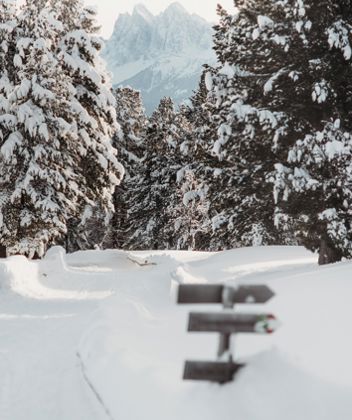 Hiking paths in winter