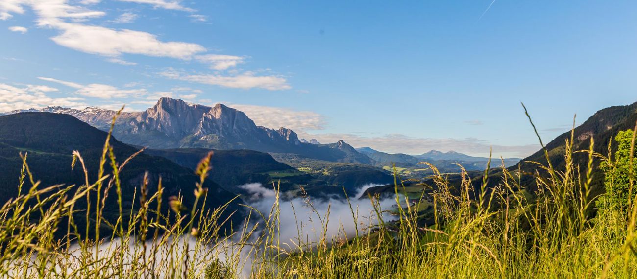 Sommerpanorama