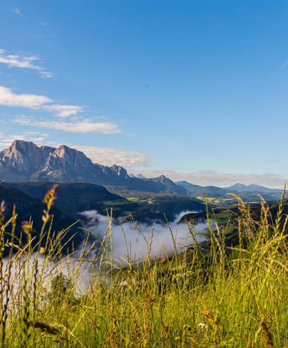 Panorama estivo