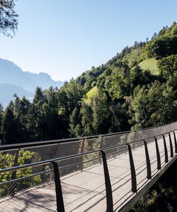 Die Hängebrücke im Sommer