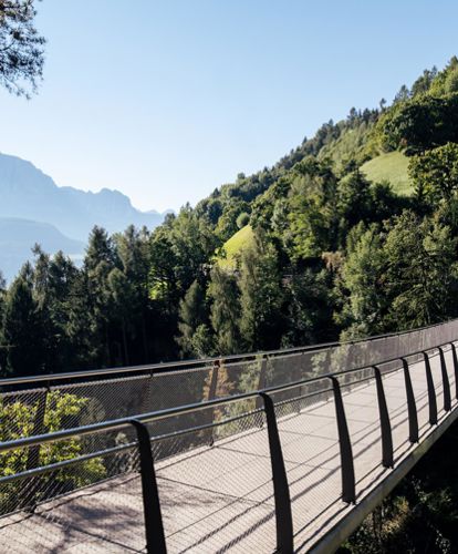 Die Hängebrücke im Sommer