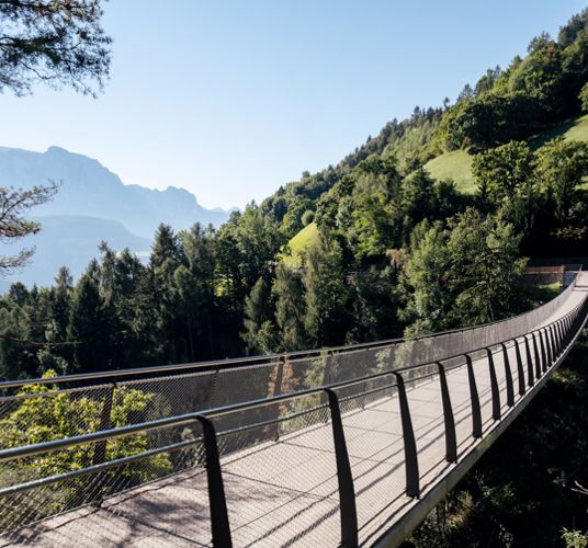 Die Hängebrücke im Sommer