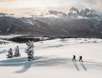 Hiking on the Villanders mountain pasture in winter