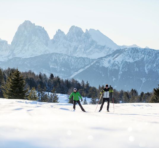 Cross-Country Skiing