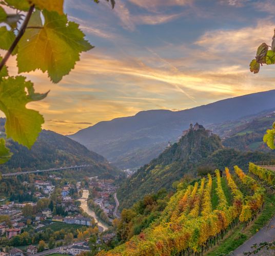 View of Klausen and its vineyards at evening