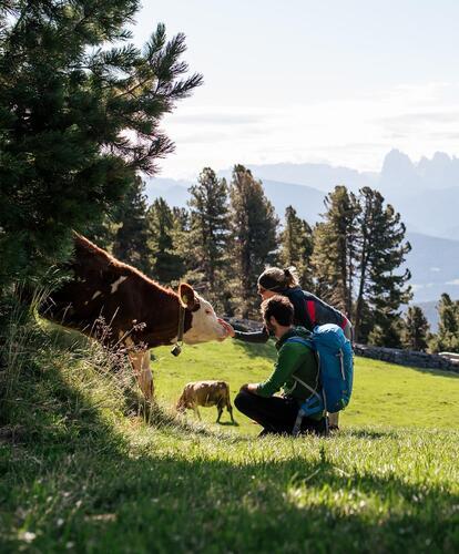 tobias-kaser-photography-99