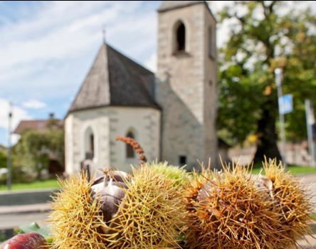 tv-klausen-herbst-keschtnweg-feldthurns-05