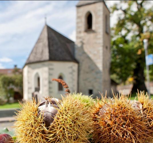 tv-klausen-herbst-keschtnweg-feldthurns-05