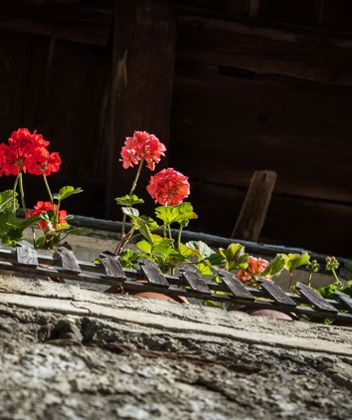 Balcone di un maso