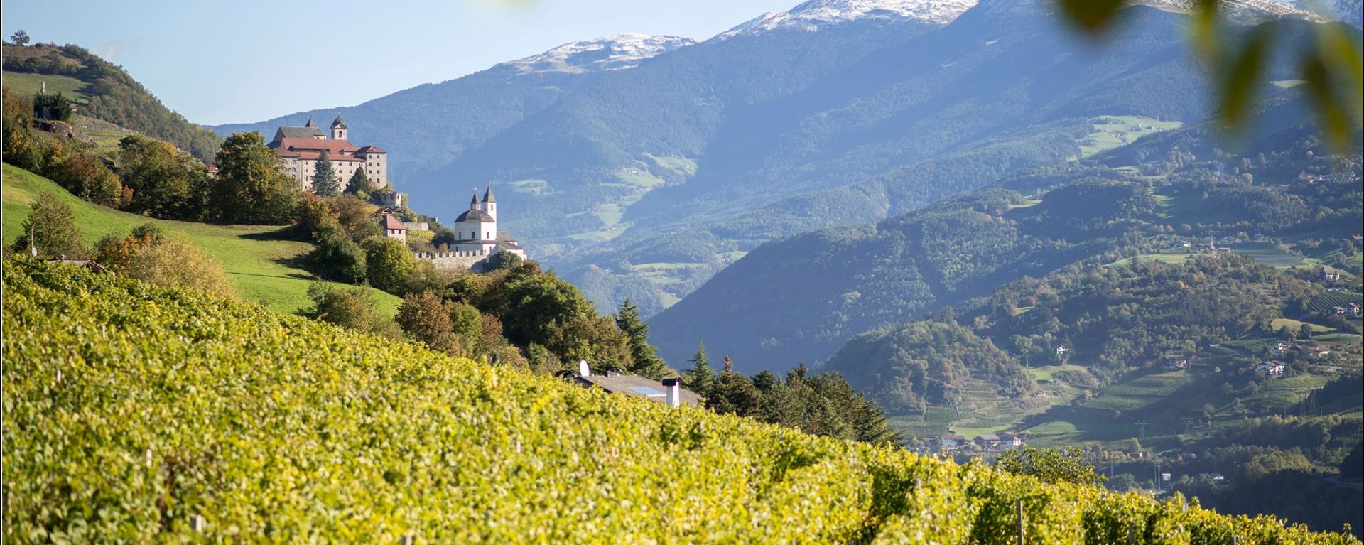tv-klausen-saeben-weinberge-alfi