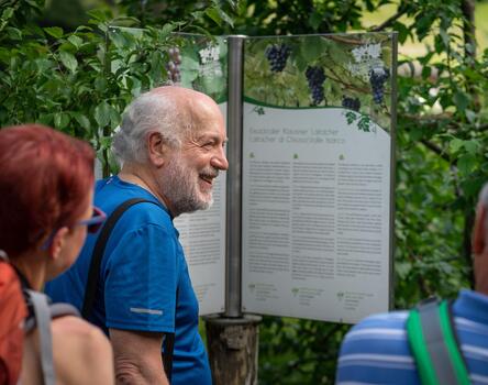 Eine Gruppe auf dem Weinwanderweg