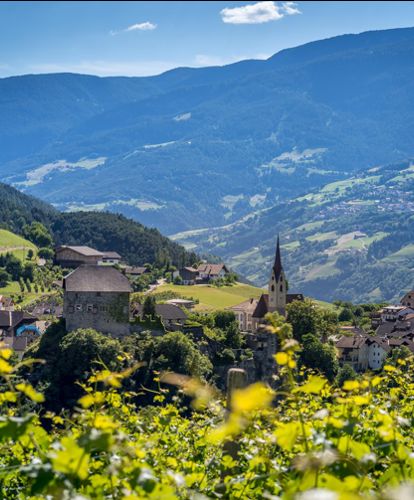 Gufidaun in spring