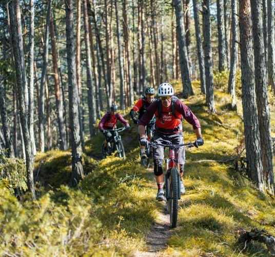 Nel bosco con la mountainbike