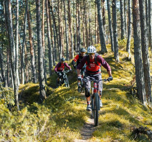Mountainbiking in the woods