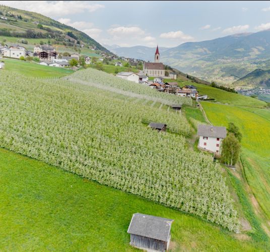 Feldthurns im Sommer