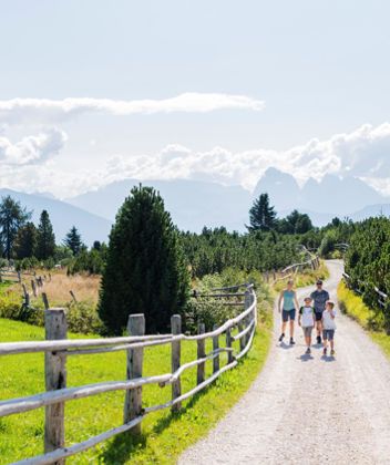 A family during a hike in summer