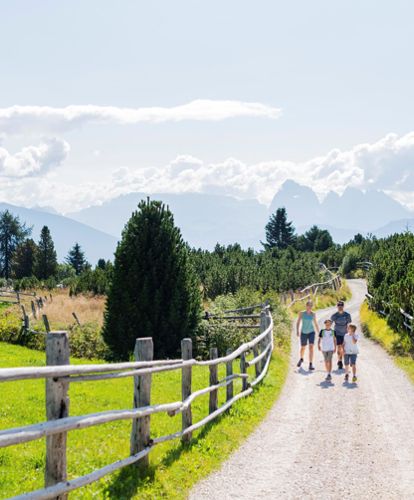 A family during a hike in summer