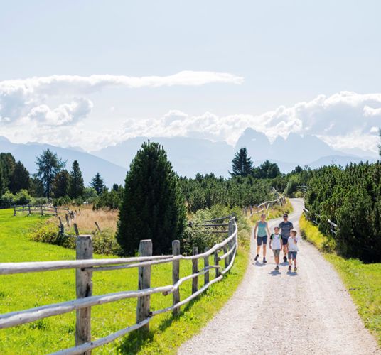 Eine Familie beim Wandern im Sommer