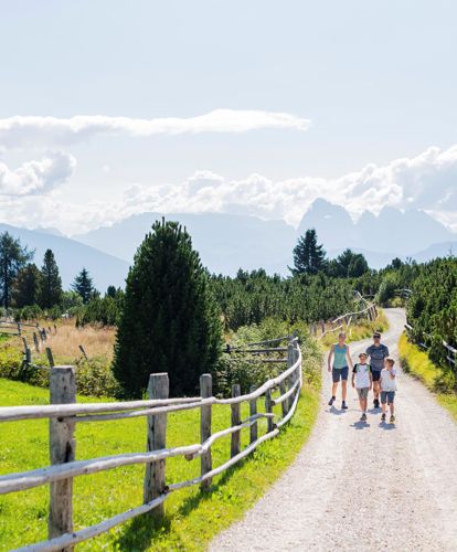 Eine Familie beim Wandern im Sommer