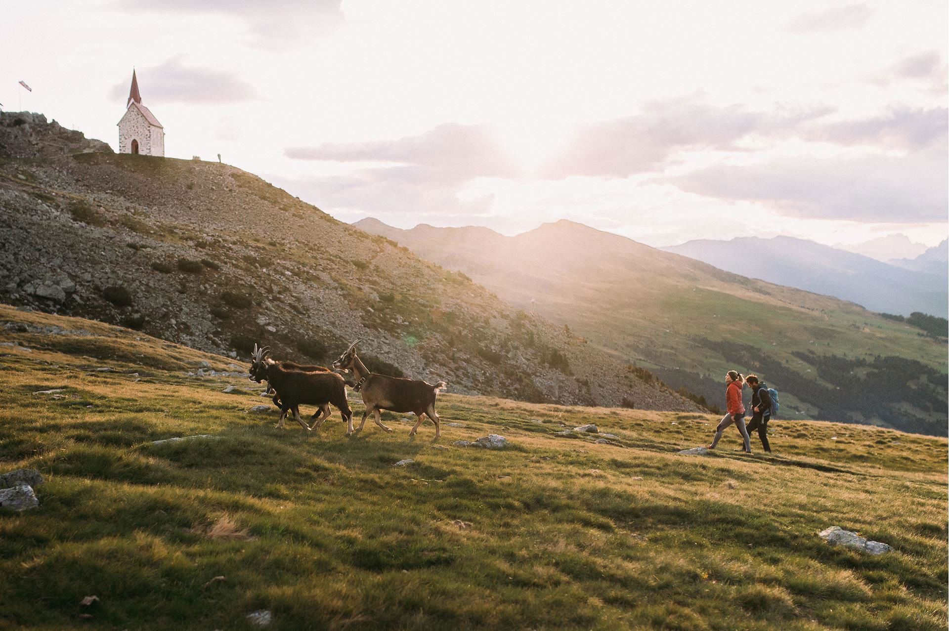 Vacanze in Valle Isarco l'area vacanze della felicità