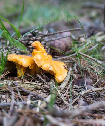 tv-sommer-079-mg-7302