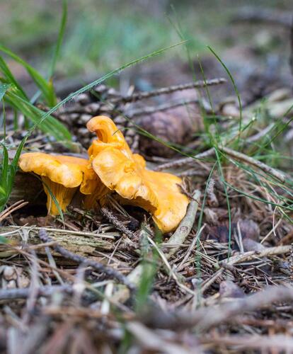 tv-sommer-079-mg-7302