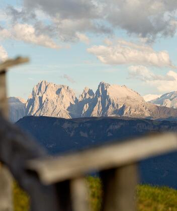 tv-sommer-058-mg-6075-bearbeitet