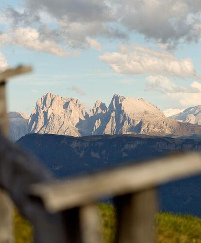 tv-sommer-058-mg-6075-bearbeitet