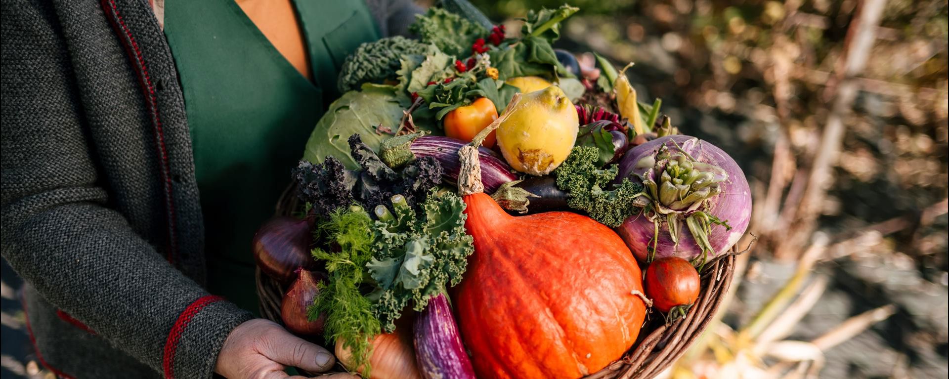 klausen-gemüse-herbst-ernte-tobias-kaser