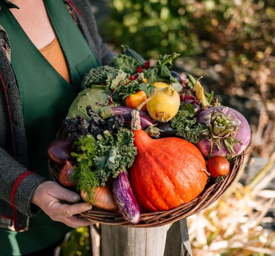 Una donna con un cestino pieno di verdure
