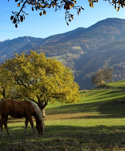 From Feldthurns to Klausen on the Chestnut Trail