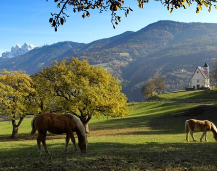 Von Feldthurns nach Klausen auf dem Keschtnweg