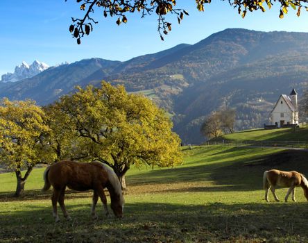 Von Feldthurns nach Klausen auf dem Keschtnweg