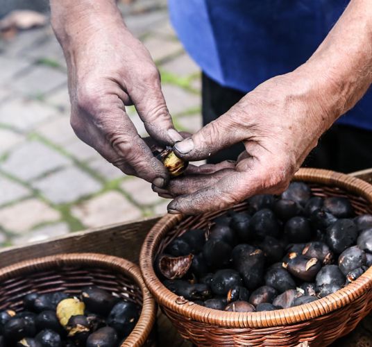The roasted chestnuts are peeled