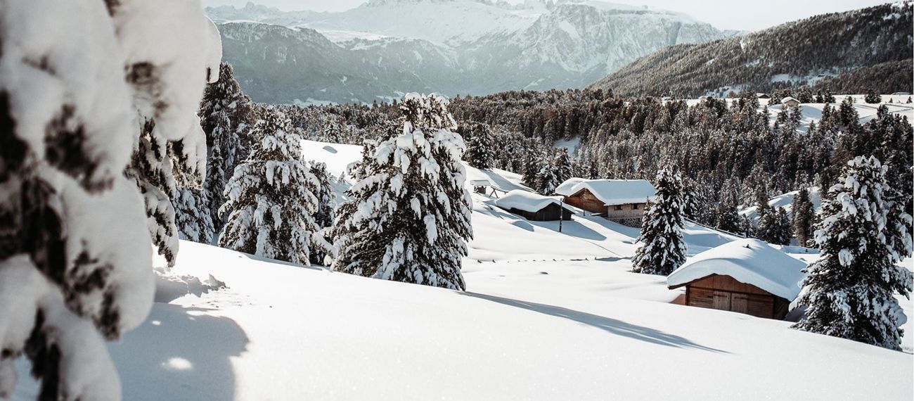 Panorama invernale