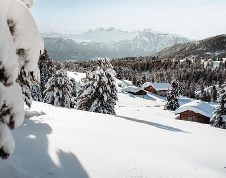 Winter panorama