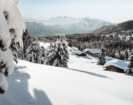 Winter panorama