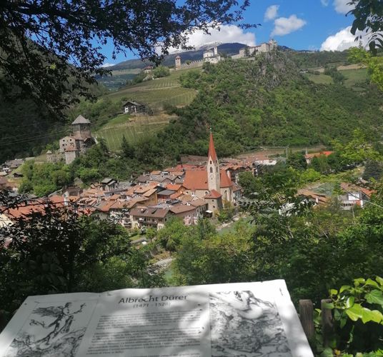 View from the Dürerstein Stone