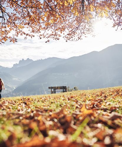 Hiking in fall